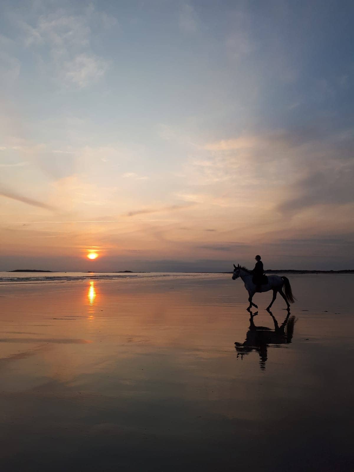 cavalier promenant sont cheval à la plage